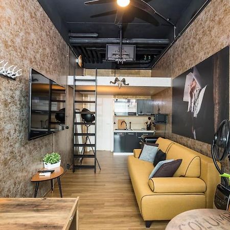 Appartement Dresden Loft An Der Elbe Extérieur photo