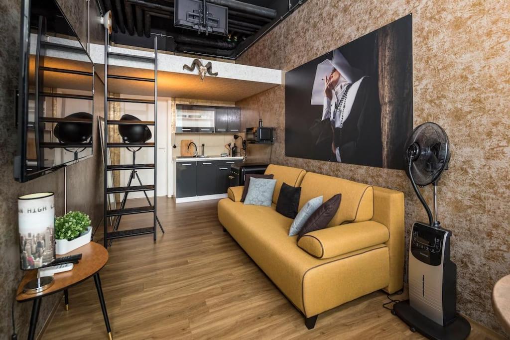 Appartement Dresden Loft An Der Elbe Extérieur photo